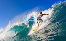 足彩网_英超半程最佳阵容公布，阿森纳防线统治榜单，曼城年轻才俊惊艳崛起