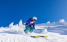 足彩网官方网站：索尔斯克亚坚持欧冠表现纳入合同条款 卡里克谈判中未设相似条件